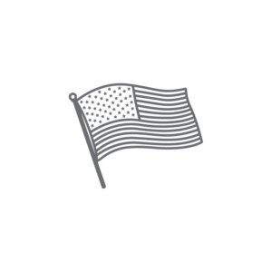 FFA american flag icon in gray